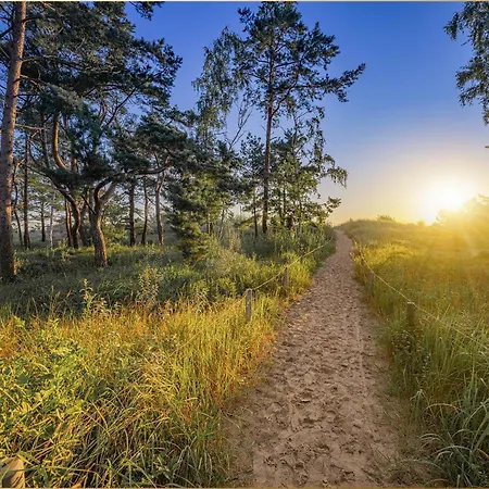 Sonnenreich * לודין